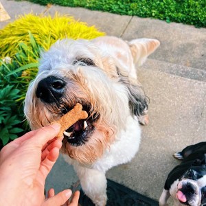 Processed with VSCO with g6 preset