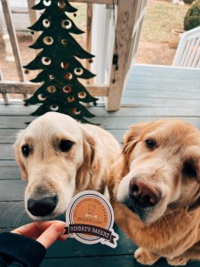 Processed with VSCO with e3 preset