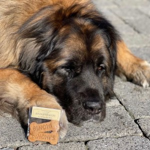 CBF8DB69-4A5D-44D9-AA89-26176C3BA4AA