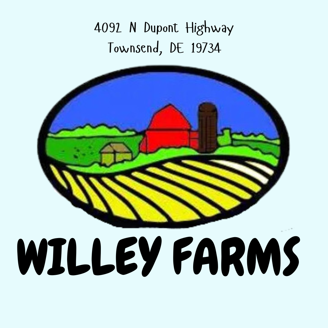 Willey Farms 2024 Craft Fair